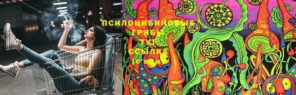 скорость Алексин