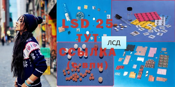 PSILOCYBIN Алзамай