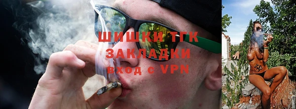 PSILOCYBIN Алзамай