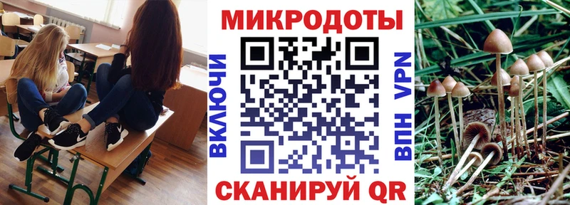 Псилоцибиновые грибы мухоморы  Новодвинск 