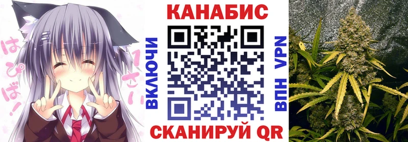 Шишки марихуана MAZAR  Новодвинск 